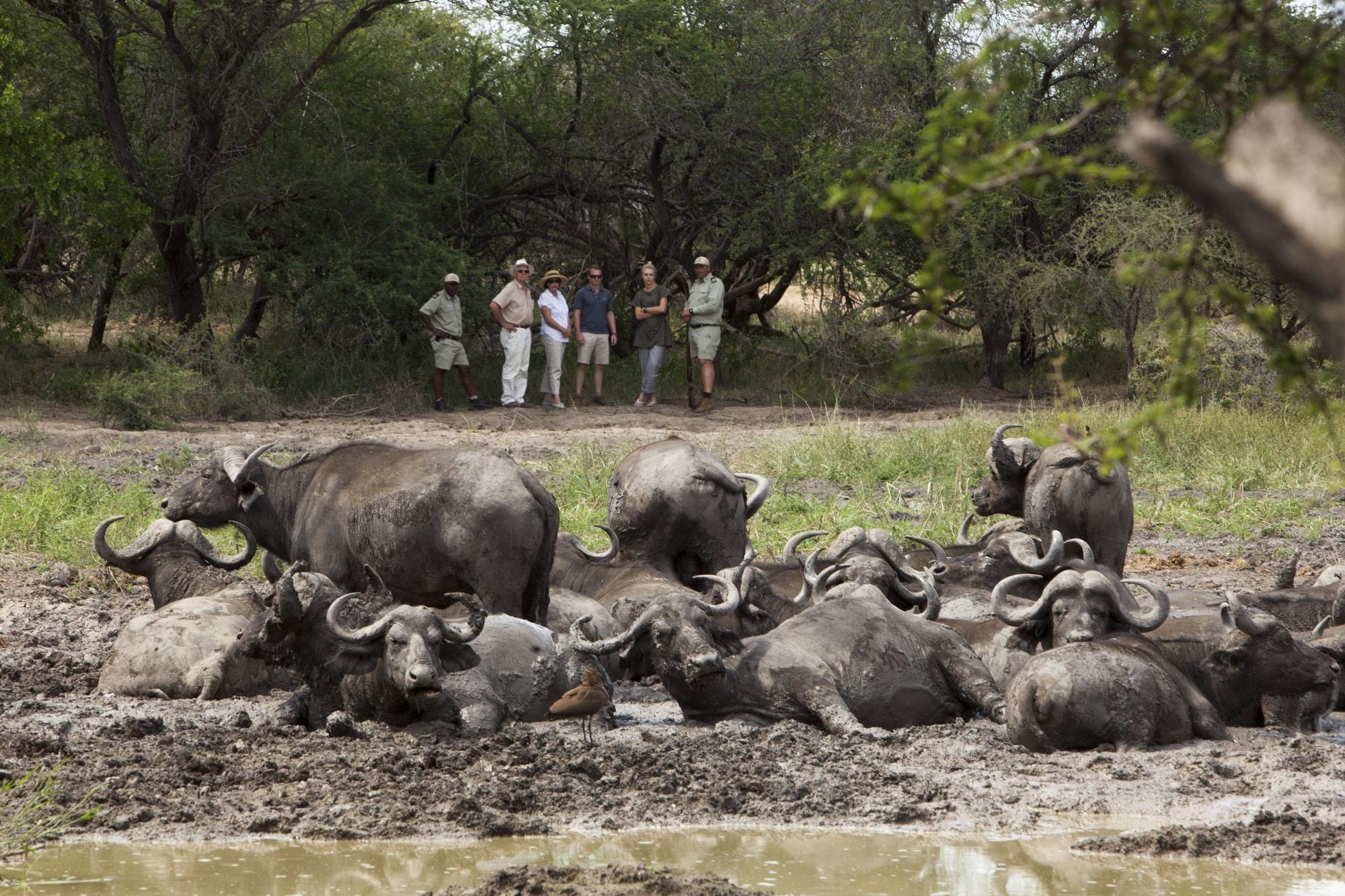 Kapama Southern Camp Hoedspruit Kültér fotó