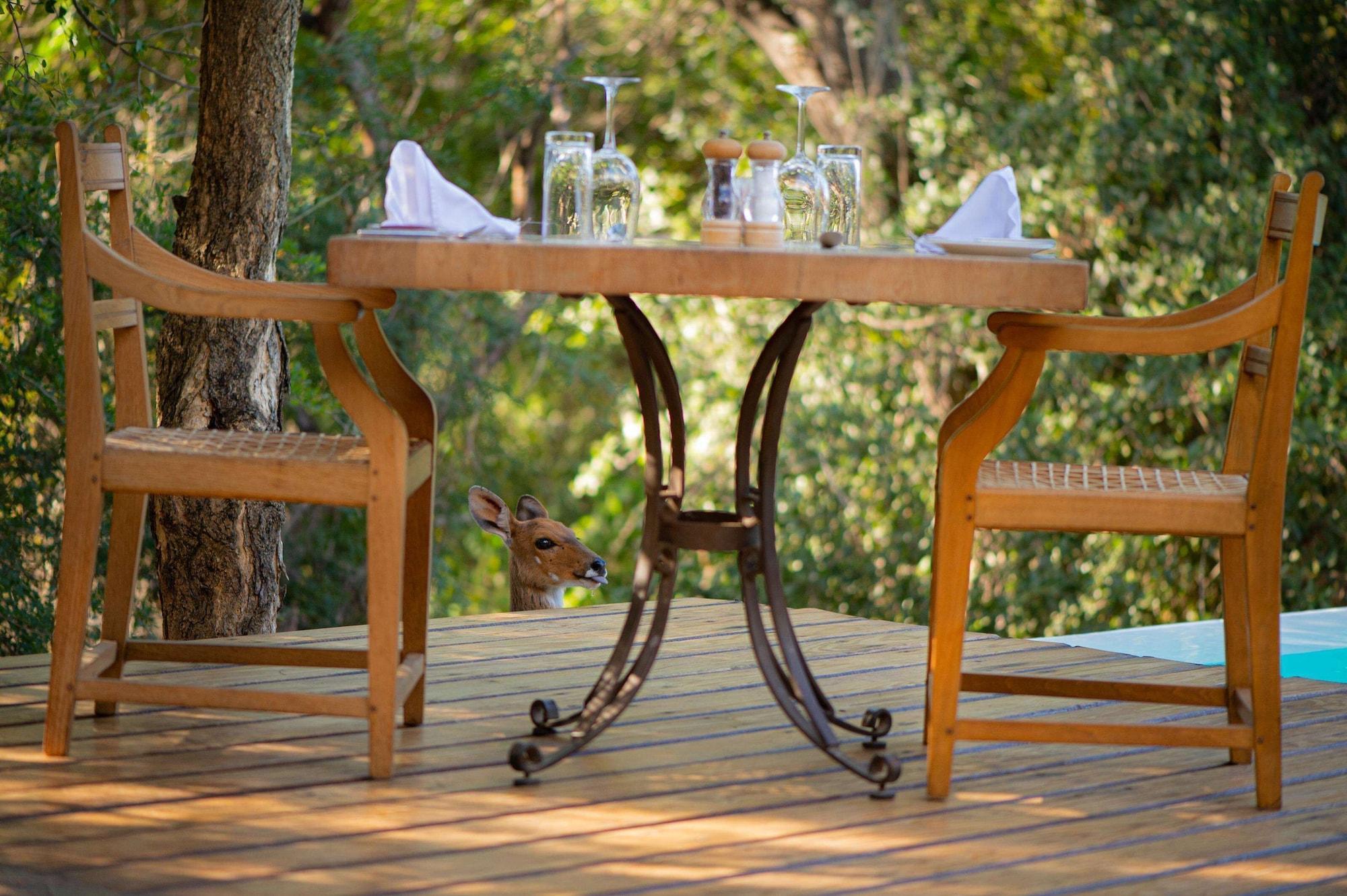 Kapama Southern Camp Hoedspruit Kültér fotó