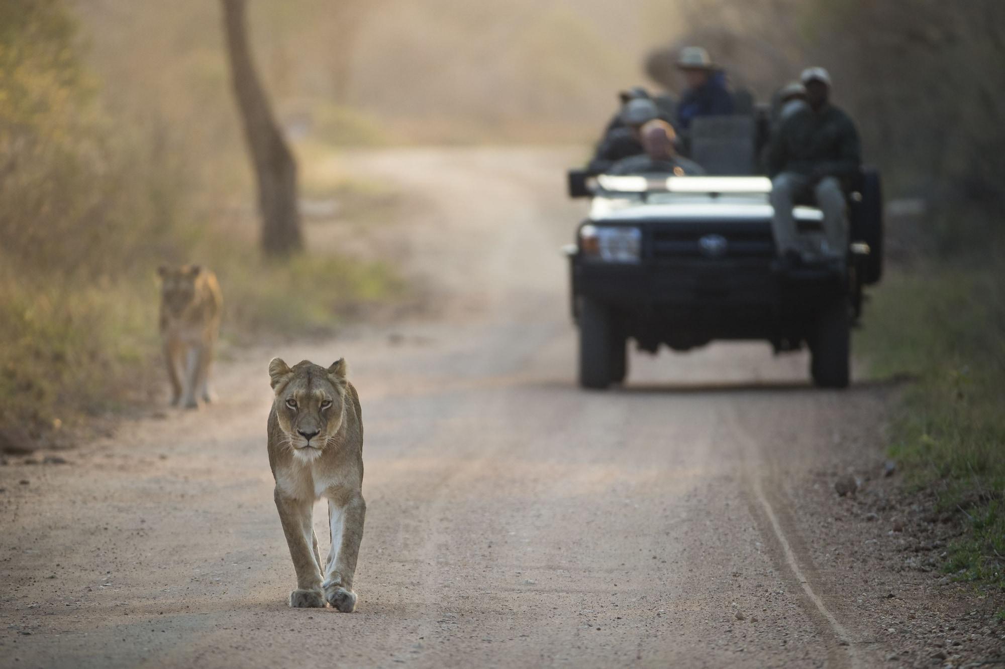Kapama Southern Camp Hoedspruit Kültér fotó