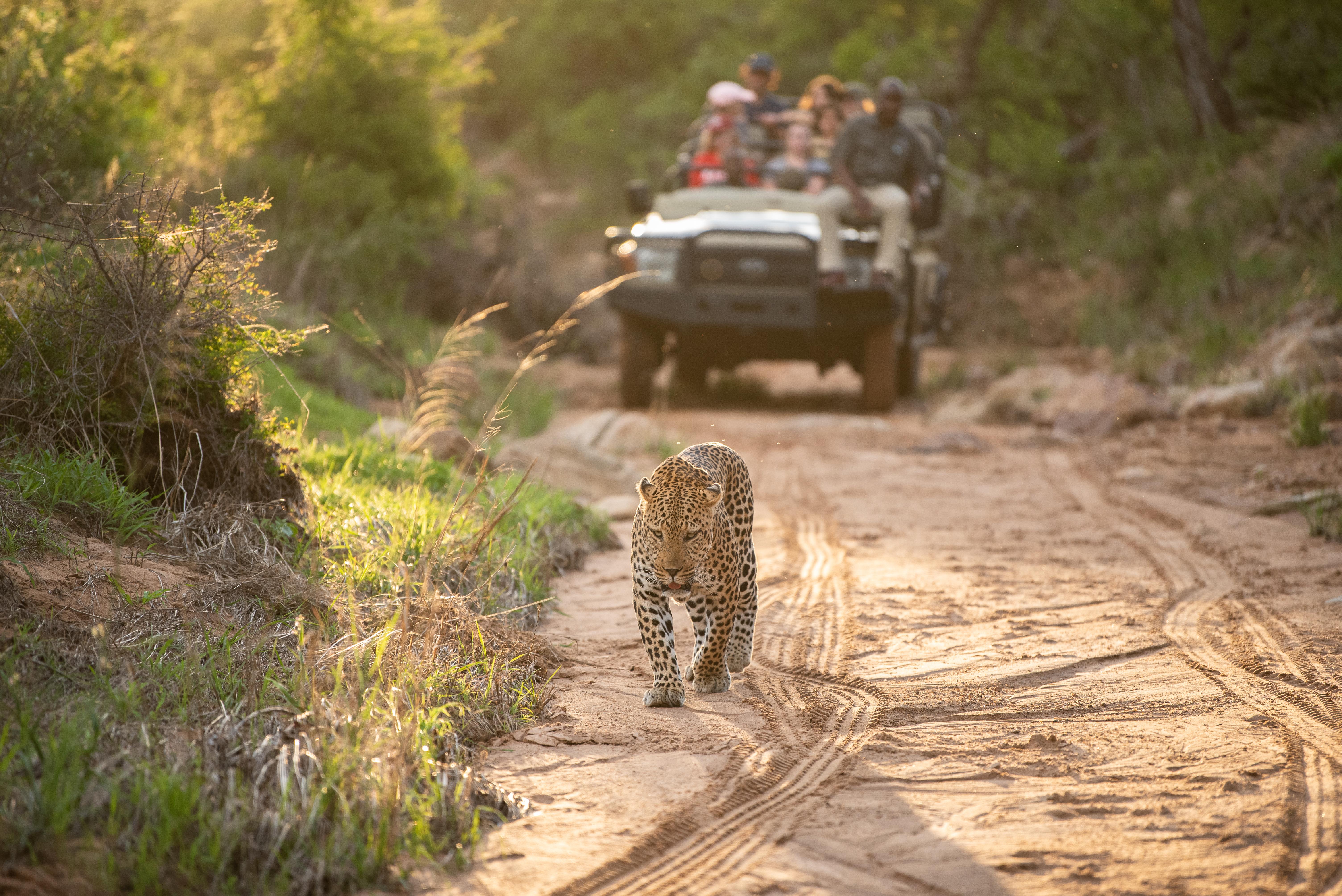 Kapama Southern Camp Hoedspruit Kültér fotó